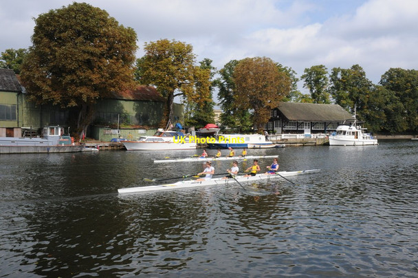 Photo 6"x4" Rowers on the Thames Hampton\/TQ1370 c2011
