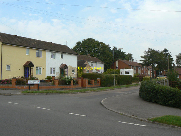 Photo 6"x4" Westcliffe Avenue Harlequin c2011