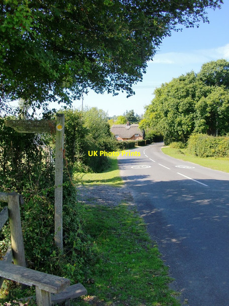 Photo 6"x4" Minor road between Minstead (New Forest) and the A31(T) London Minstead c2011
