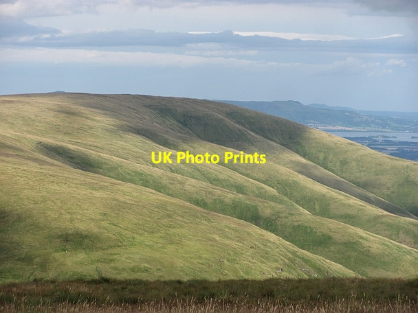 Photo 6"x4" Tarmangie Hill Dollar c2011