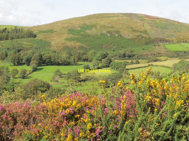 Photo 6"x4" Rounded hill on the west side of the Ghann River valley Rostrevor c2011