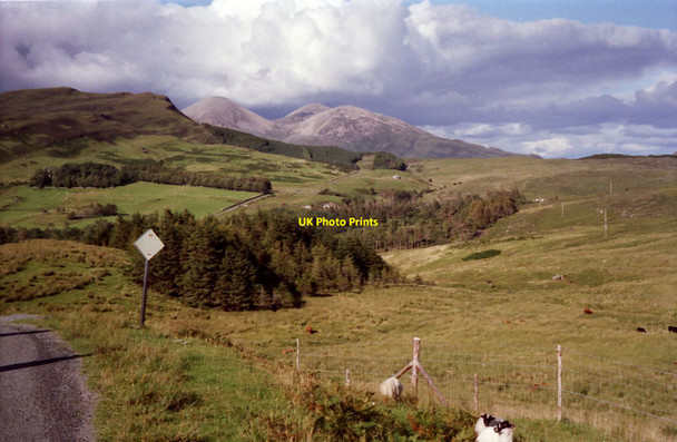 Photo 6"x4" Rough grazing at Kilmarie Kilmarie c1990