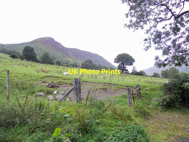Photo 6"x4" Hillside at Glan-yr-afon Pencraig\/SJ0427 c2011