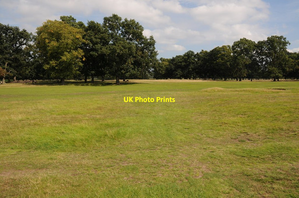 Photo 6"x4" Hampton Court Park Surbiton c2011