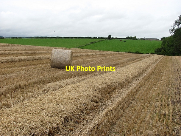 Photo 6"x4" Round bale, Hendersyde Kelso c2011