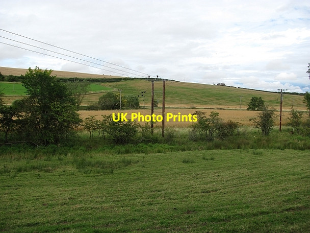 Photo 6"x4" Riverside pasture, Hendersyde Kelso c2011