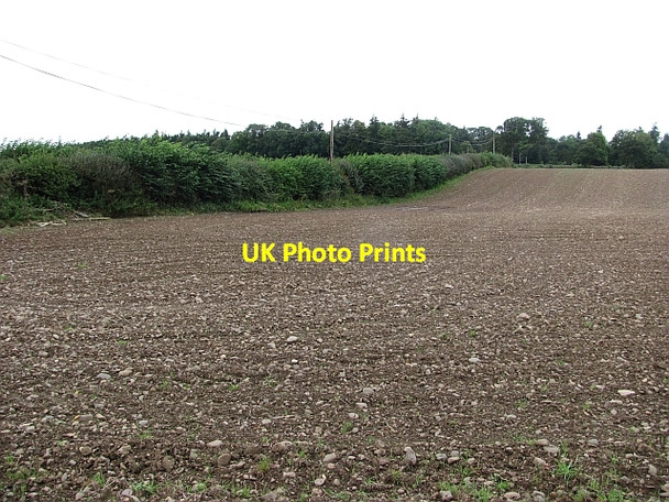 Photo 6"x4" Newly cultivated field Kelso c2011