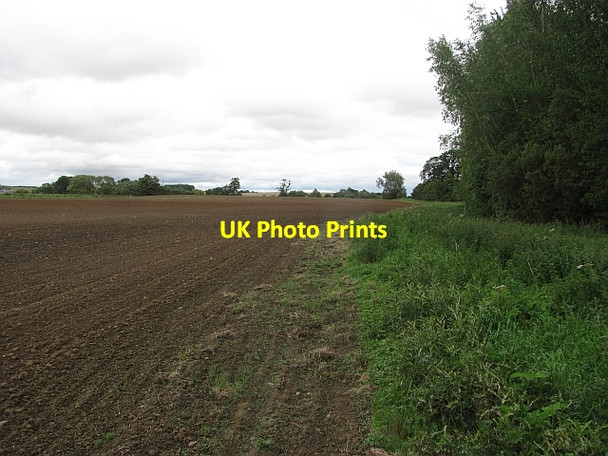 Photo 6"x4" Newly cultivated field, Edenbank Kelso c2011