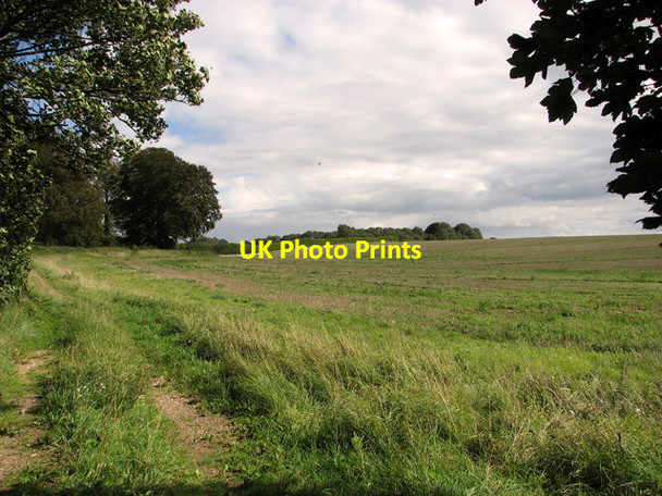 Photo 6"x4" The southern edge of Gravelpit Plantation, Gayton Gayton Thorpe c2011
