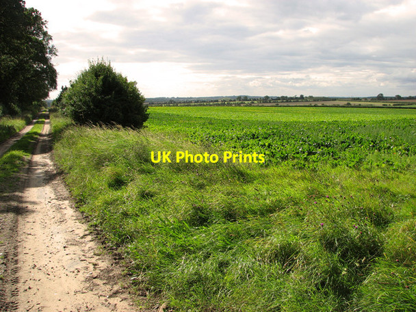 Photo 6"x4" Bridleway by Green Hill Wood, Gayton Gayton Thorpe c2011