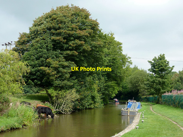 Photo 6"x4" Trent and Mersey Canal above Meaford Locks, Staffordshire Stone\/SJ9034 c2011