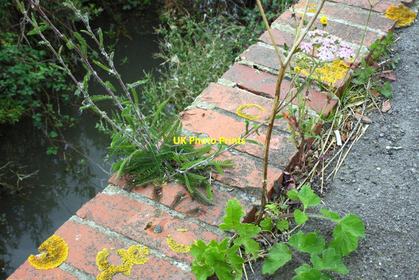 Photo 6"x4" Benchmark on culvert on south side of Steventon Road East Hanney c2011
