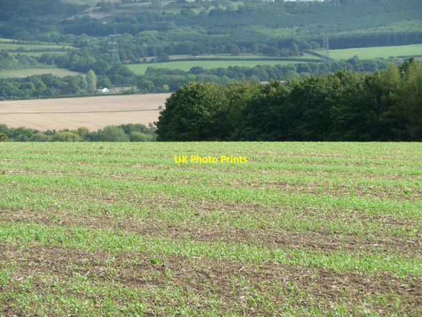 Photo 6"x4" The corner of Cawthorne Park woods Kexbrough c2011