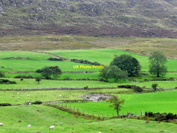 Photo 6"x4" The flood plain of the upper Ghann River Valley Hilltown\/J2128 c2011