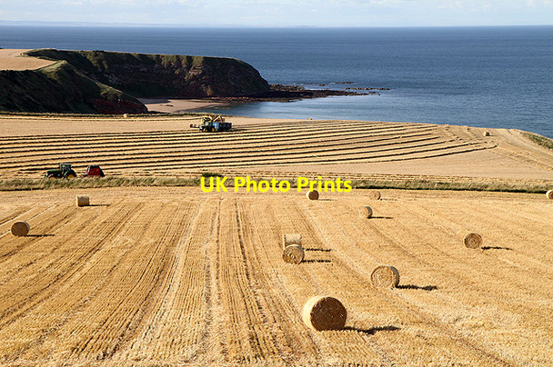 Photo 6"x4" Harvest time at Woodend Old Cambus c2011