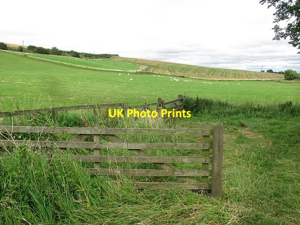 Photo 6"x4" Beside the Eden Water Edham c2011