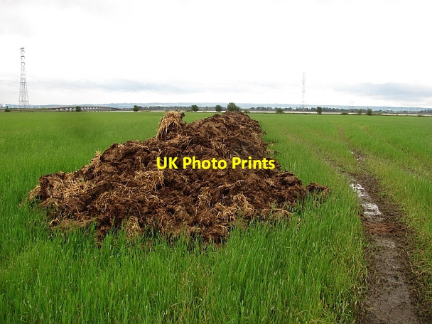Photo 6"x4" Manure heap Clackmannan c2011