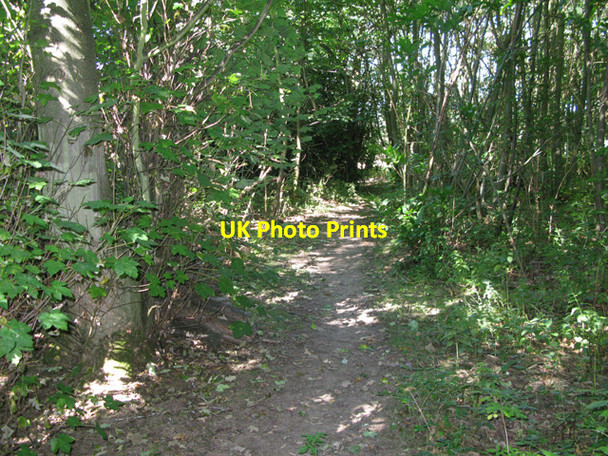 Photo 6"x4" Bridleway to School Road, Tilmanstone Tilmanstone c2011