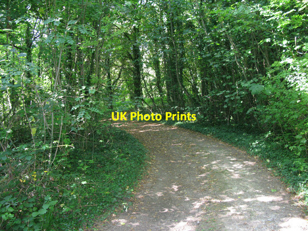 Photo 6"x4" Bridleway through Nightingale Woods Tilmanstone c2011