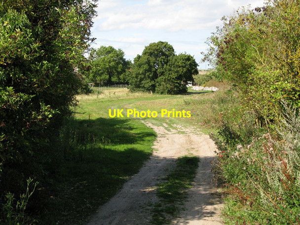 Photo 6"x4" Farm track through Thornton Farm Knowlton\/TR2853 c2011