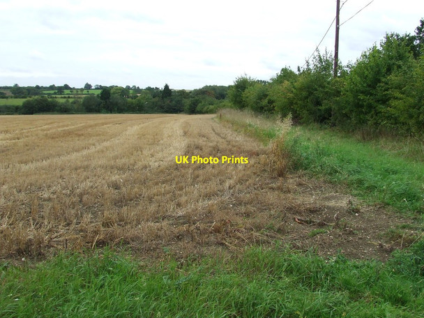 Photo 6"x4" Open Fields Harrow Green c2011