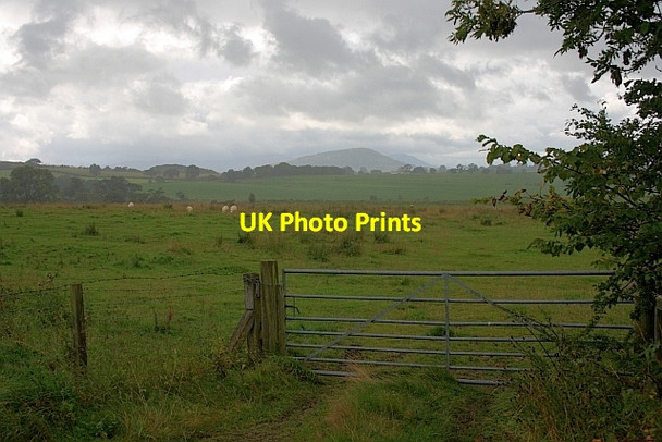 Photo 6"x4" Gate, Division Moor Greystoke Gill c2011