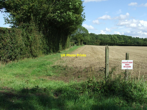 Photo 6"x4" Please Keep Dogs On Leads Hightown Green c2011