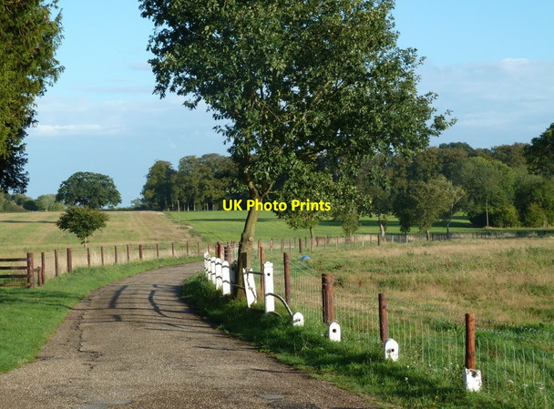 Photo 6"x4" Letton Hall driveway Cranworth c2011