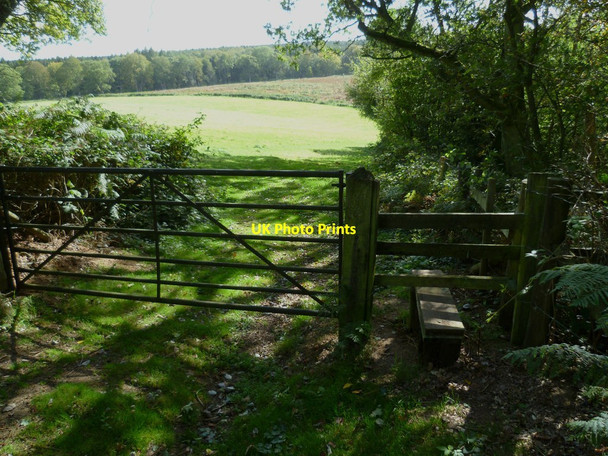 Photo 6"x4" Path takes stile into field near Mayor House Farm Farley Green\/TQ0645 c2011