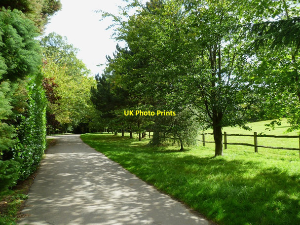 Photo 6"x4" Lane leading to Row Lane south of Farley Green Farley Green\/TQ0645 c2011
