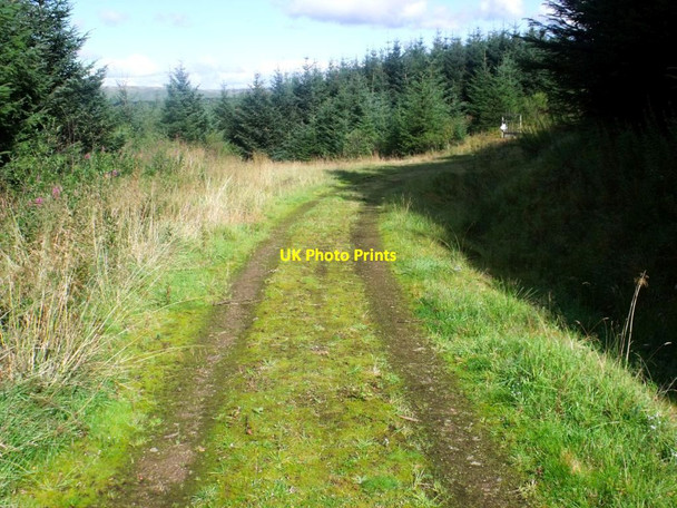 Photo 6"x4" Drove Hill, forestry tracks Lecket Hill c2011