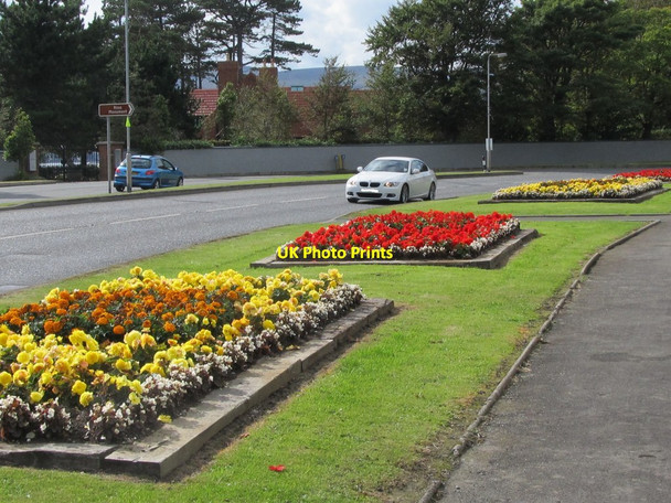 Photo 6"x4" Flower beds along side Warrenpoint Road Rostrevor c2011