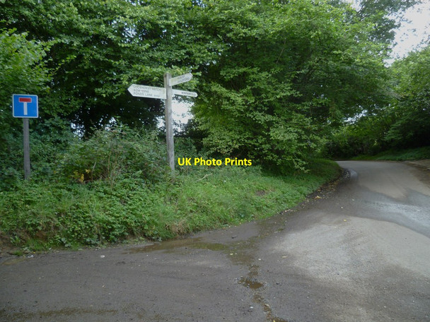 Photo 6"x4" Signpost on Shophouse Lane Farley Green\/TQ0645 c2011