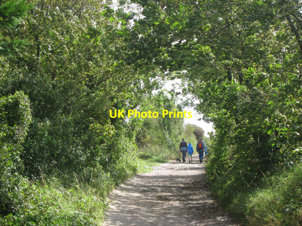 Photo 6"x4" Mill Lane Clayton\/TQ3014 c2011