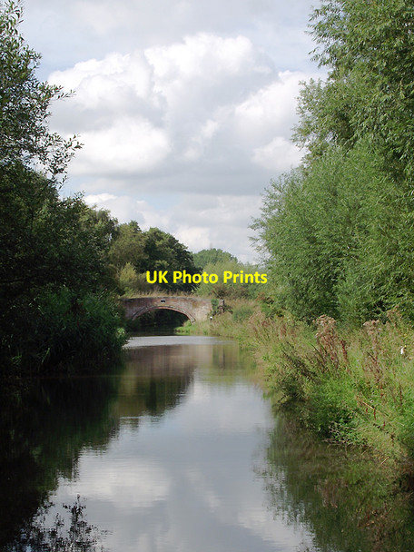 Photo 6"x4" Staffordshire and Worcestershire Canal south-east of Stafford Baswich c2011