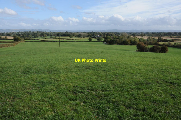 Photo 6"x4" The Vale of Gloucester at Forthampton Forthampton c2011