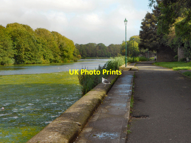 Photo 6"x4" Millpond Walk, Pembroke Pembroke\/Penfro c2011