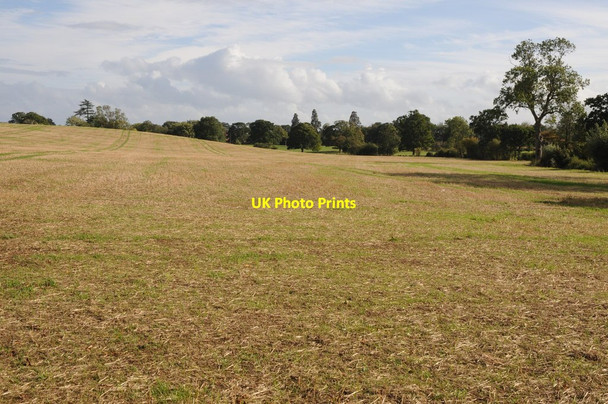 Photo 6"x4" Field above Paradise Brook Forthampton c2011