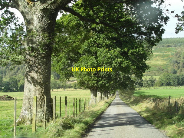 Photo 6"x4" Road down to Whitebridge Ardendrain c2011