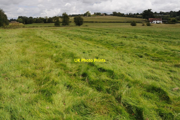 Photo 6"x4" Grassland near Bromyard Bromyard c2011