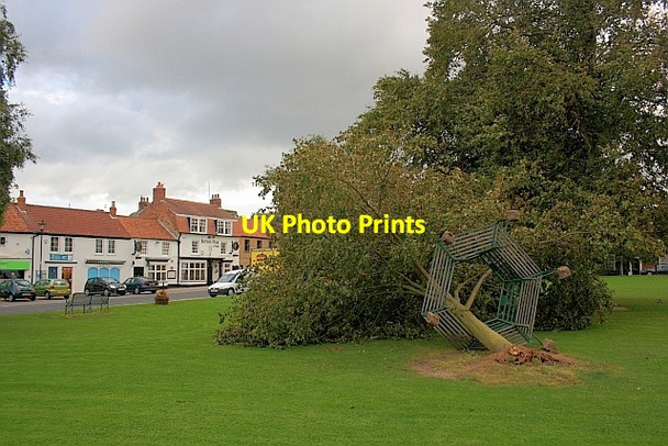 Photo 6"x4" Storm Damage, High Green Great Ayton c2011