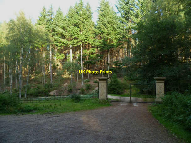 Photo 6"x4" Gates on Row Lane in Winterfold Forest Farley Green\/TQ0645 c2011