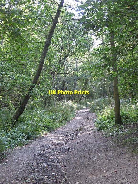 Photo 6"x4" View up the incline Goathland c2011