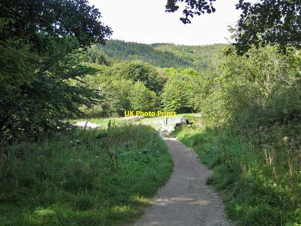 Photo 6"x4" Approaching the bottom of the incline Goathland c2011