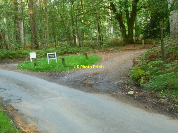 Photo 6"x4" Bridleway access to Winterfold Cottage Farley Green\/TQ0645 c2011