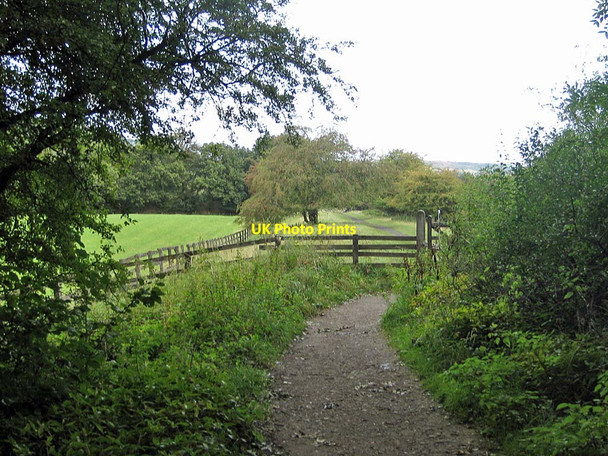 Photo 6"x4" Emerging from Blue Ber Wood on the Rail Trail Green End\/NZ8203 c2011