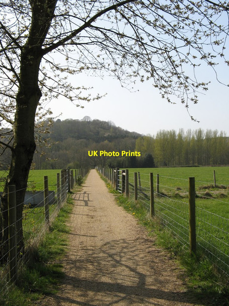 Photo 6"x4" Cycle path west of Shamley Green Lordshill Common c2010