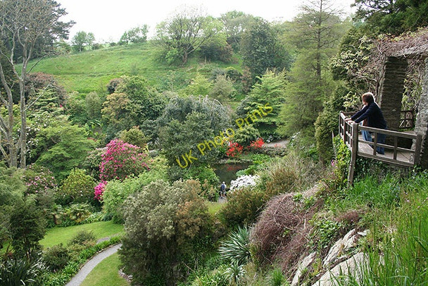 Photo 6"x4" Kingswear: garden at Coleton Fishacre 1 Kingston\/SX9051 c2008