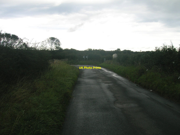 Photo 6"x4" Bolam Lane approaching bend Buckton\/TA1872 c2011