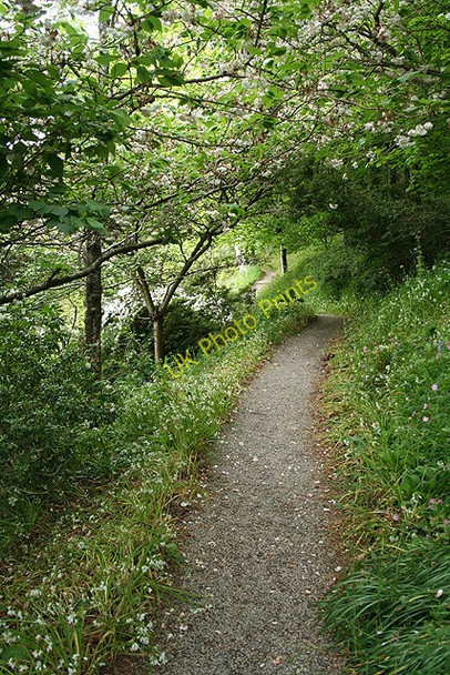 Photo 6"x4" Kingswear: garden walk Kingston\/SX9051 c2008